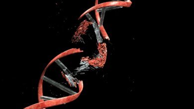Scientists Find a Surprising Weak Point in Rare Genetic Disease