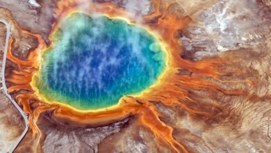Tiny Earthquakes Spark a Microbial Awakening Beneath Yellowstone