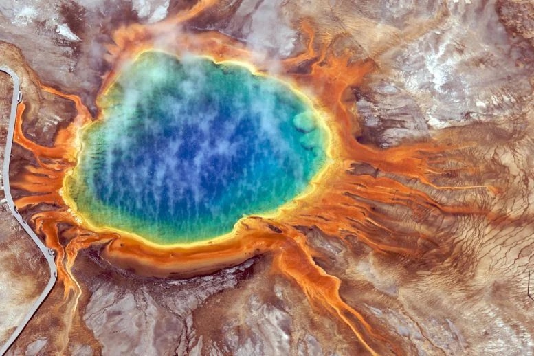 Tiny Earthquakes Spark a Microbial Awakening Beneath Yellowstone