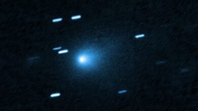 Physicists Open a “Message in a Bottle” From Interstellar Space