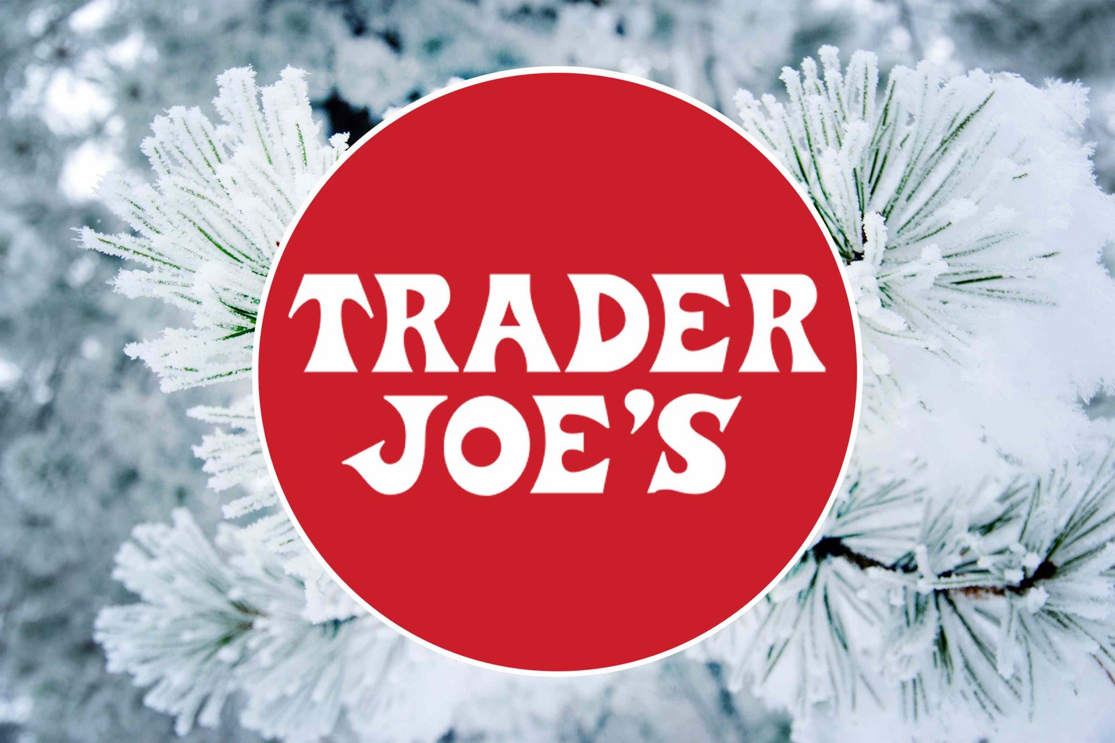 The 5 Best New Trader Joe’s Items to Try This December