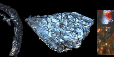 Palaeometabolomes yield biological and ecological profiles at early human sites