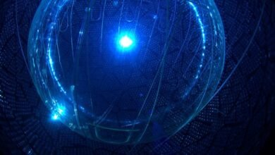 Suns Ghost Particles Finally Caught Transforming Atoms ScienceAlert