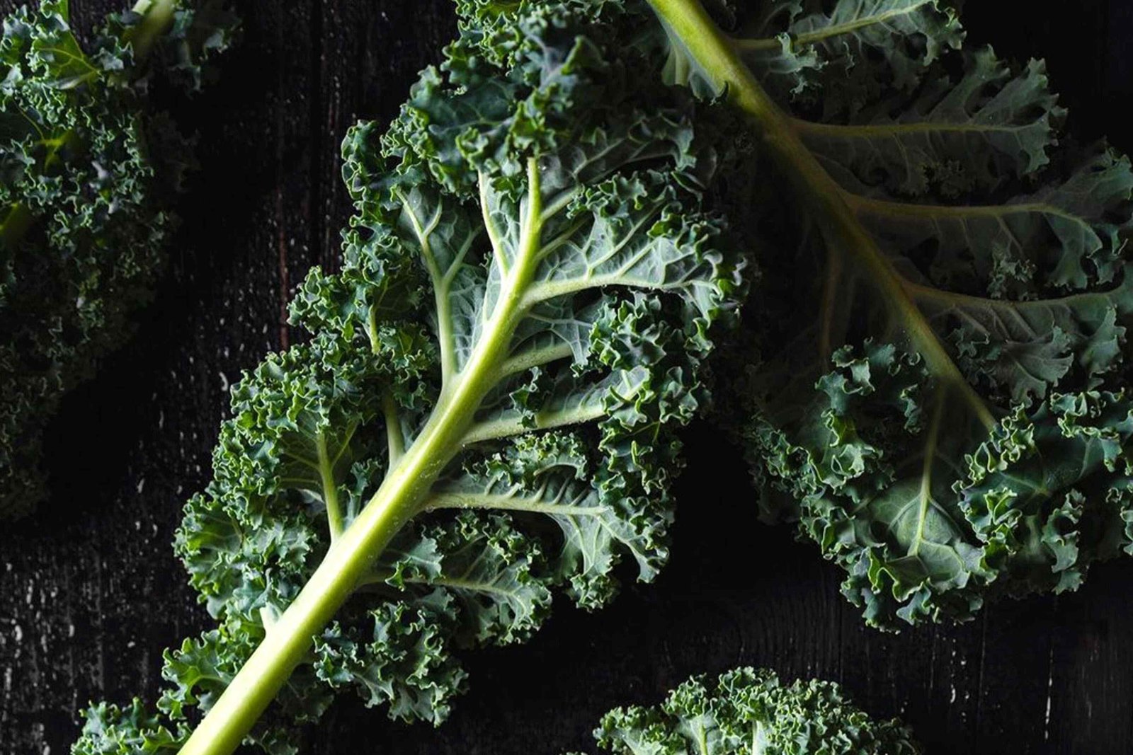 How Olive Oil Helps Your Body Absorb of Kale’s Key Nutrients