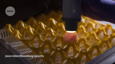 The quest to hatch a bird-flu vaccine
