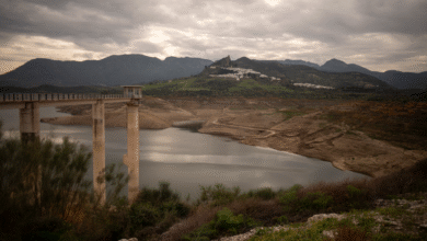 Collapse of key Atlantic current could bring extreme drought to Europe for hundreds of years, study finds