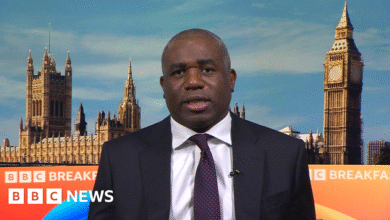 Twelve prisoners released in error, with two still missing, says Lammy