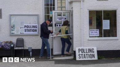 Watchdog hits out at potential delays to local elections
