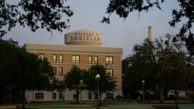 Texas Universities Deploy AI Tools to Review How Courses Discuss Race and Gender The 74