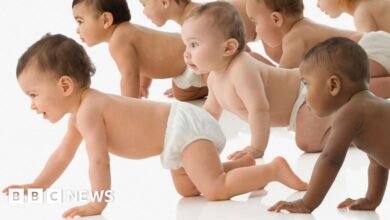 Why are sperm donors having hundreds of children?