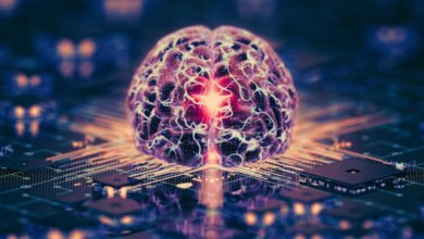 Computers Made From Human Brain Tissue Are Coming. Are We Prepared? ScienceAlert
