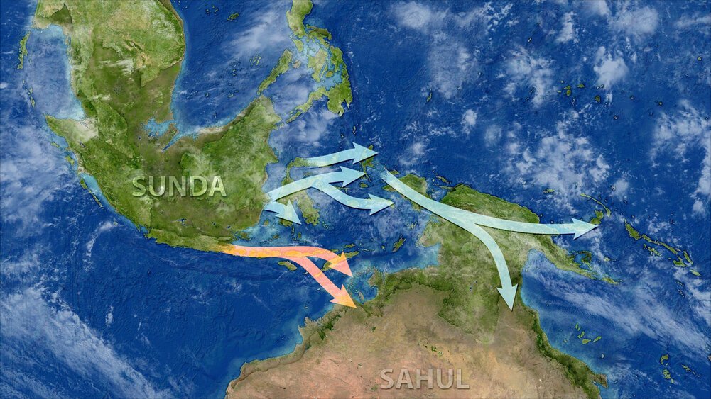 DNA reveals the mystery of the origins of the peoples of Australia and New Guinea