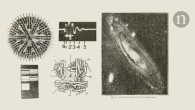 Safety regulations for cloning and a compass that finds true north