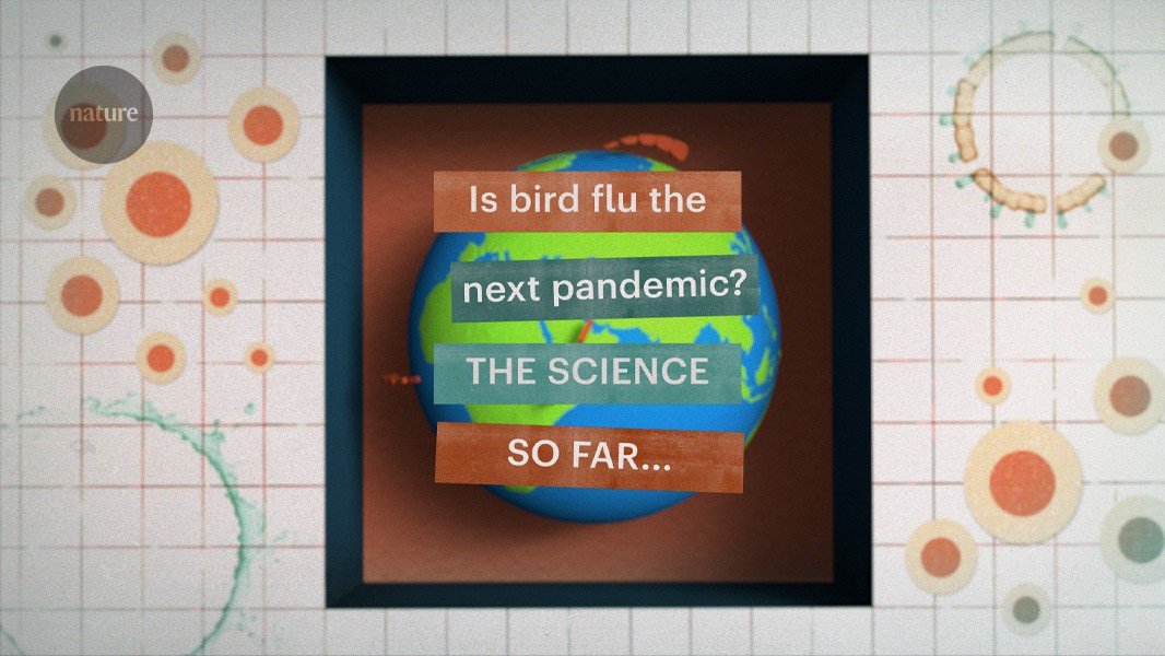 Is bird flu the next pandemic? The science so far Is bird flu the next pandemic? The science so far