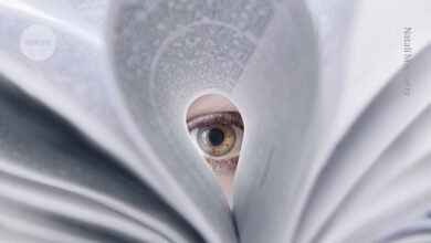 Science sleuths raise concerns about scores of bioengineering papers