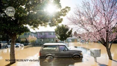 Cities are embracing nature for flood defence