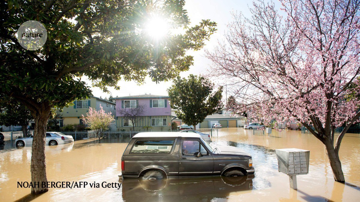Cities are embracing nature for flood defence