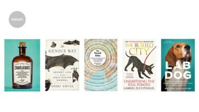 These are a few of my favourite sounds Books in brief