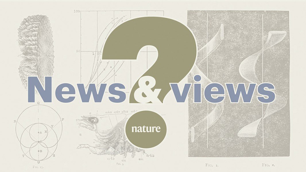 Take the News & Views end-of-year quiz vampire fungus, migratory moths and a 160-year-old mystery