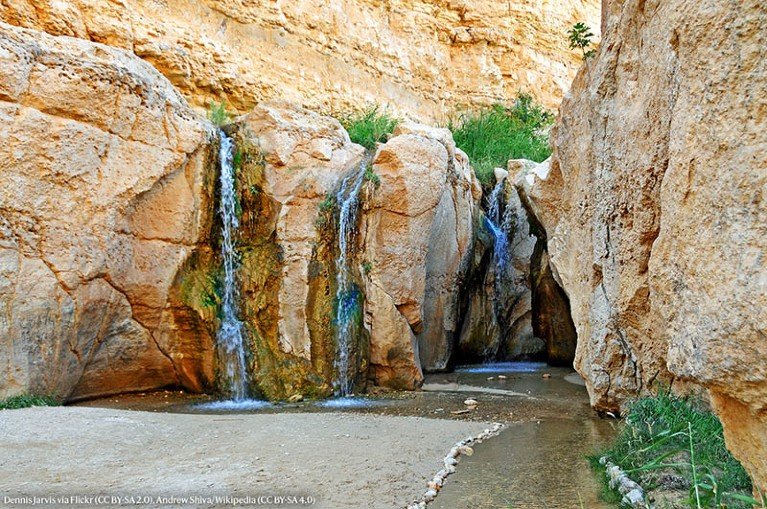 استكشف عام 2025 مع ليف بينجوينسون