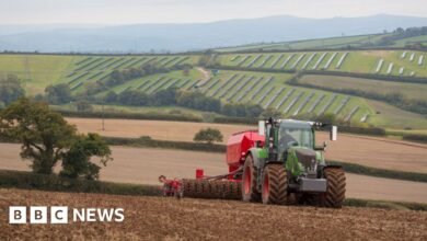 Bewildered farmers need new deal to be profitable
