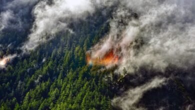 Wildfire smoke lofted miles high could have an unexpected effect on Earths climate