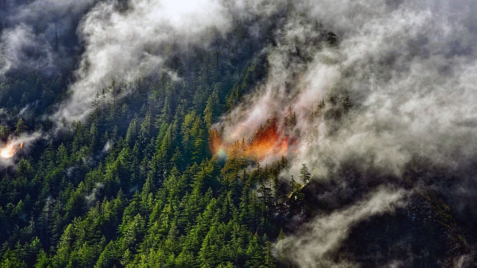 Wildfire smoke lofted miles high could have an unexpected effect on Earths climate