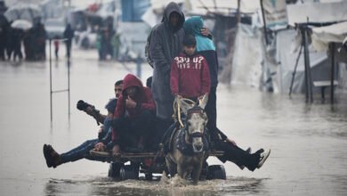 لن يحدث شيء دون حماس خطة غزة الأوضح تشمل قطارات ومدارس ومستشفيات وساحلا فاخرا و55 مليار دولار