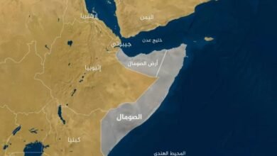 وزير الخارجية الصومالي سيادة بلادنا وسلامة أراضيها مصونة لا تشوبها شائبة
