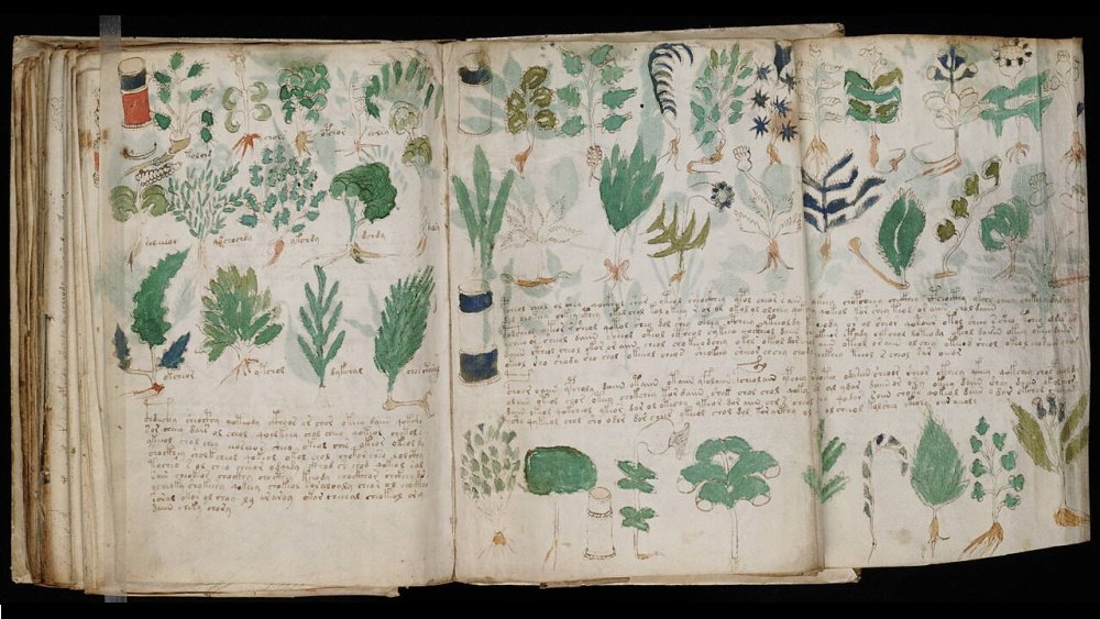 New analysis brings scientists closer to solving the mysterious Voynich manuscript