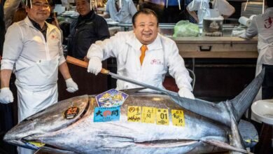 What Drives the Price of a Bluefin Tuna to .2 Million?