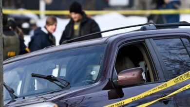 Donald Trump accused of propaganda over wild false claims about ICE shooting