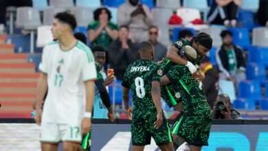 Nigeria overthrows Algeria and sets a fiery date with Morocco in the African Cup semi-finals (video)