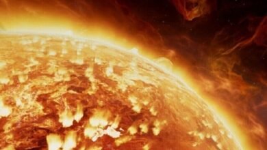 Russian scientists monitor 3 powerful flares on the sun