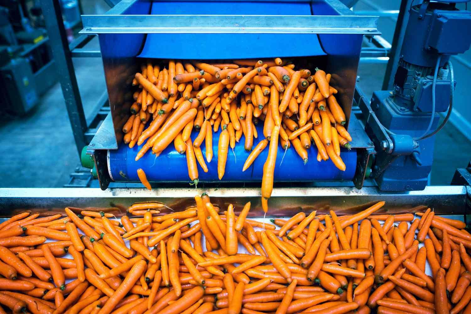 Are Carrot Scraps Powering the Next Big Alternative Protein?