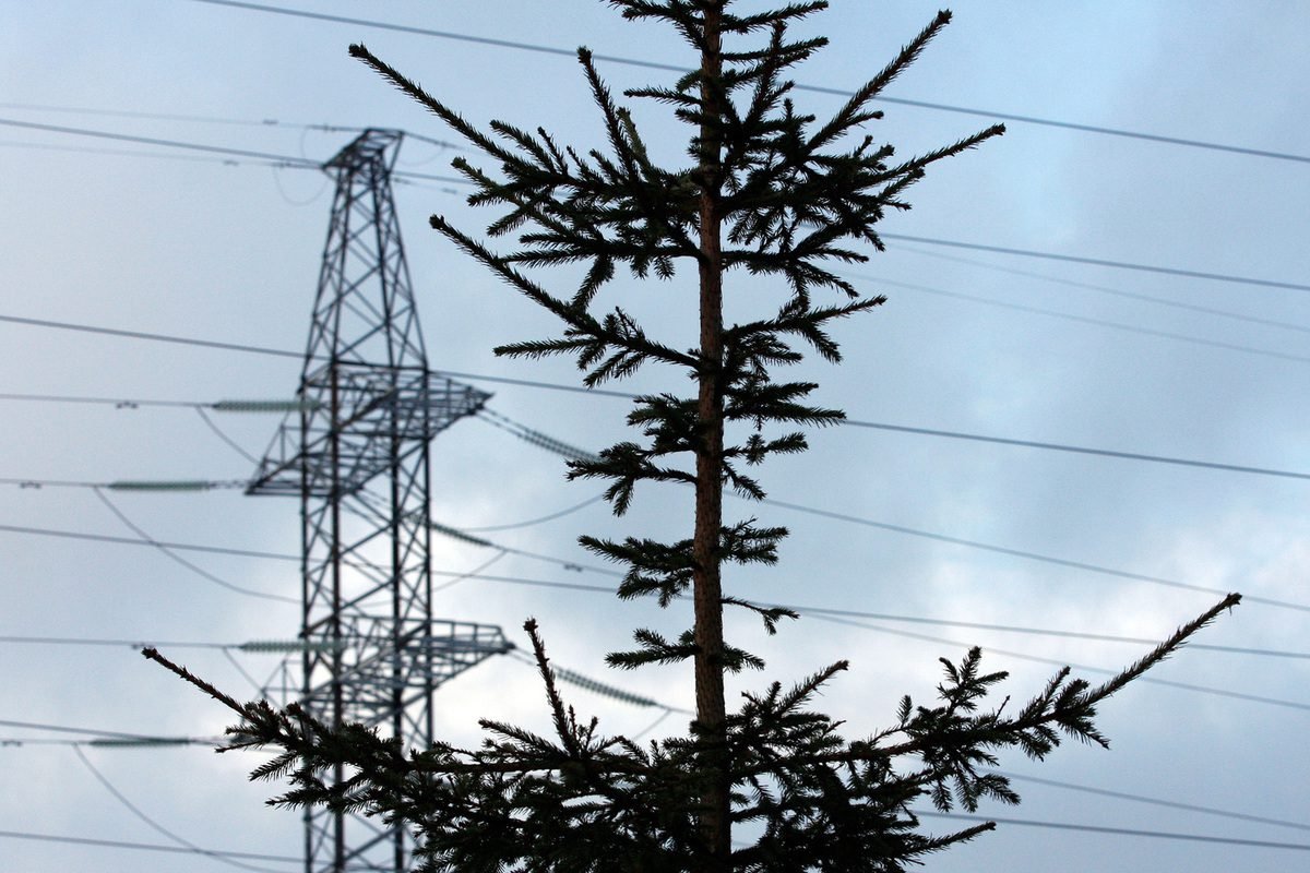 Ukraine will introduce a state of emergency in the energy sector