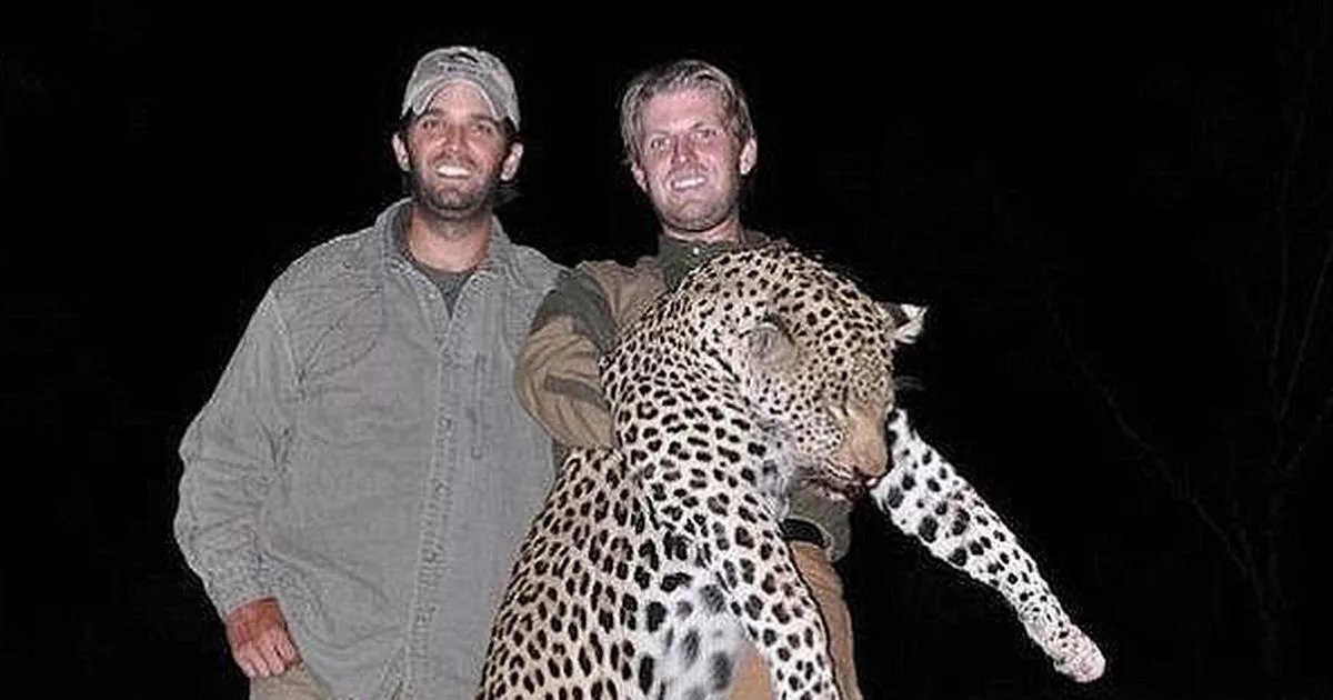 Donald Trump team trying to bully UK into scrapping ban on sick trophy hunting