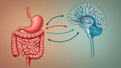 How Antibiotics Affect the Brain New Evidence on Anxiety