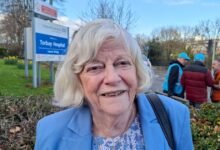 Ann Widdecome ends up in hospital after fall while saving mouse from her pet cat