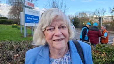 Ann Widdecome ends up in hospital after fall while saving mouse from her pet cat
