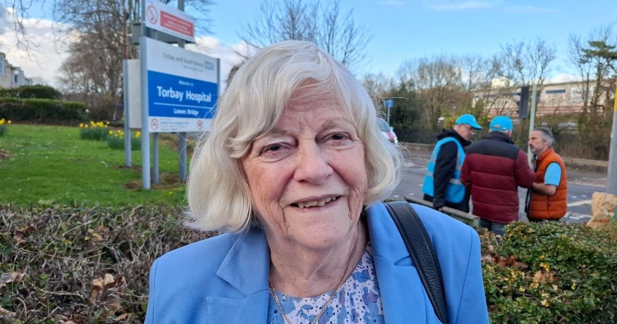 Ann Widdecome ends up in hospital after fall while saving mouse from her pet cat