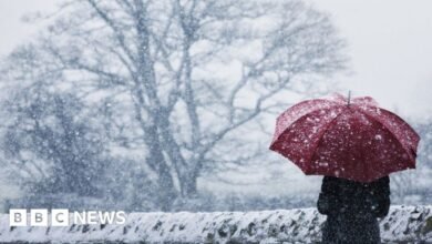 How do cold health alerts work and what do the different levels mean?