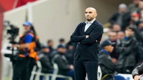 الجزائر أم نيجيريا؟.. ما المنتخب الذي يفضل الركراكي مواجهته في نصف نهائي كأس إفريقيا؟ الجزائر أم نيجيريا؟.. ما المنتخب الذي يفضل الركراكي مواجهته في نصف نهائي كأس إفريقيا؟