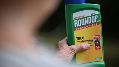 Top US court to review suit against German chemicals giant World News