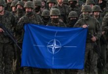 Europe’s trial run ends in a reality check World News