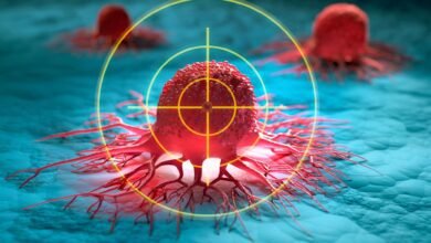 Scientists Find Way to Turn Tumor-Protecting Cells Into Cancer Killers