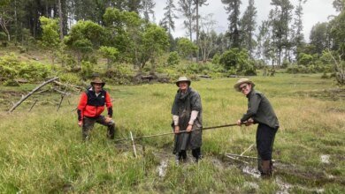 Why Ancient Islanders May Have Chased the Rain Across the Pacific