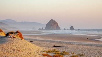 Scars from ancient megaquakes at Cascadia subduction zone discovered in deep-sea landslides