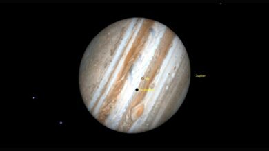 January belongs to Jupiter See the king of planets in the night sky this month