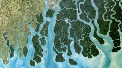 18 of Earths biggest river deltas including the Nile and Amazon are sinking faster than global sea levels are rising